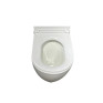Чаша унитаза-компакта Koer TT-0201-T3 Bowl без сиденья Tornado 3.0 (MI8364)