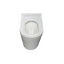 Чаша унитаза-компакта Koer TT-0202-T3 Bowl без сиденья Tornado 3.0 (MI8365)