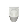 Чаша унитаза-компакта Koer TT-0202-T3 Bowl без сиденья Tornado 3.0 (MI8365)