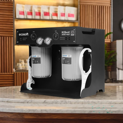 Фильтр обратного осмоса Ecosoft RObust 3000 MAX