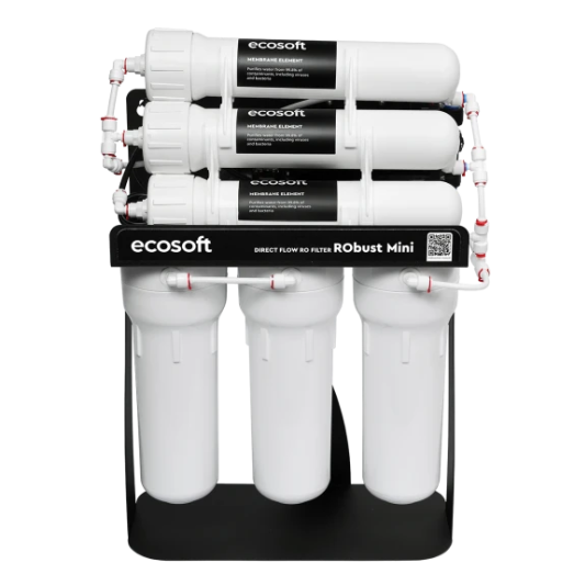 Фильтр обратного осмоса Ecosoft RObust MINI (ROBUST1000STD)