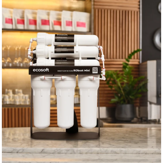 Фильтр обратного осмоса Ecosoft RObust MINI (ROBUST1000STD)