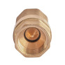 Клапан обратный конусный Koer KR.176-20.WN - 3/4" (KR5779)