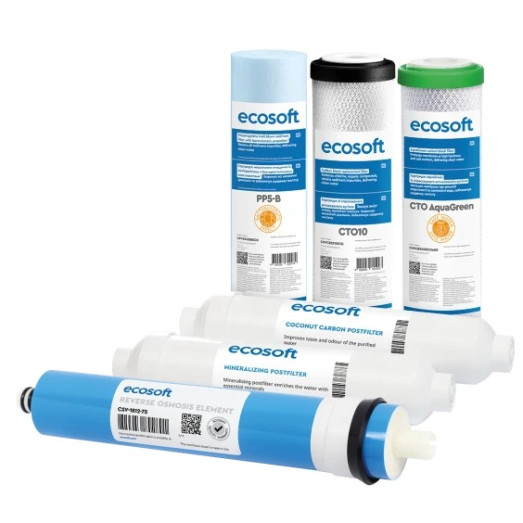 Комплект картриджів Ecosoft Absolute 12 місяців (CHV6ECOABS)