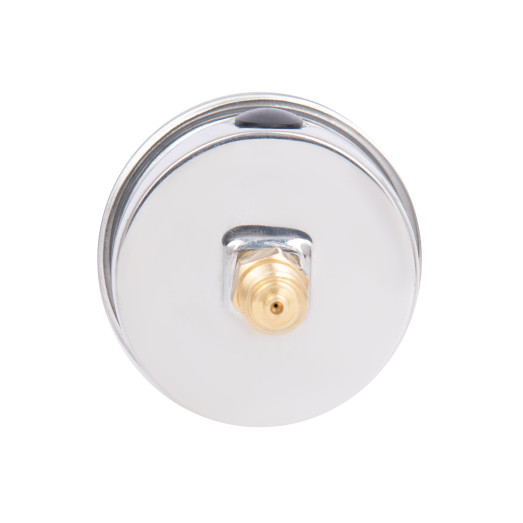 Манометр глицериновый Thermo Alliance Forte 63 мм 1/4" с задним подключением 0-10 бар (TAF171G10B)