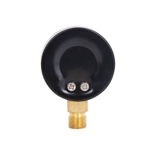 Манометр Thermo Alliance Standart 50 мм 1/4" нижнее подключение (SD1704B)