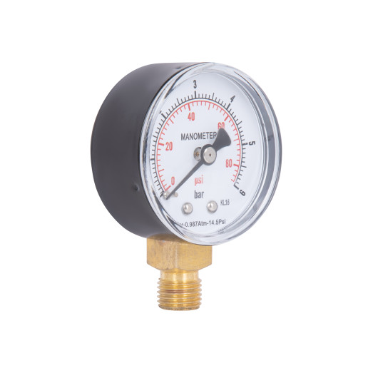 Манометр Thermo Alliance Standart 50 мм 1/4" нижнее подключение (SD1706B)