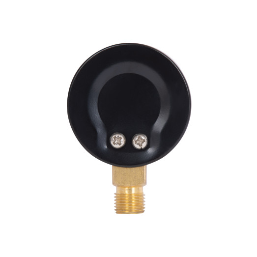 Манометр Thermo Alliance Standart 50 мм 1/4" нижнее подключение (SD1706B)
