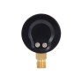 Манометр Thermo Alliance Standart 50 мм 1/4" нижнее подключение (SD1706B)
