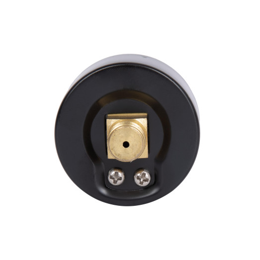 Манометр Thermo Alliance Standart 6 бар 1/4" заднее подключение (SD1716B)