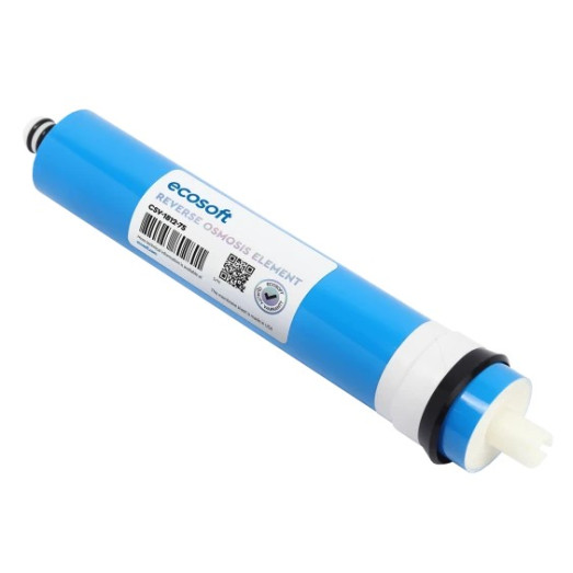 Мембранний елемент Ecosoft 75 GPD (CSV181275ECO)