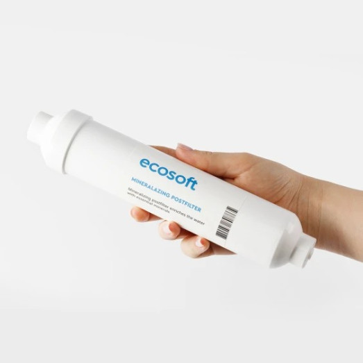 Мінералізатор Ecosoft 2"х10" (PD2010ECOPKG)