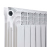 Радиатор биметаллический Thermo Alliance Bi-Ferrum 300/100 1,15 кг (F300100B)