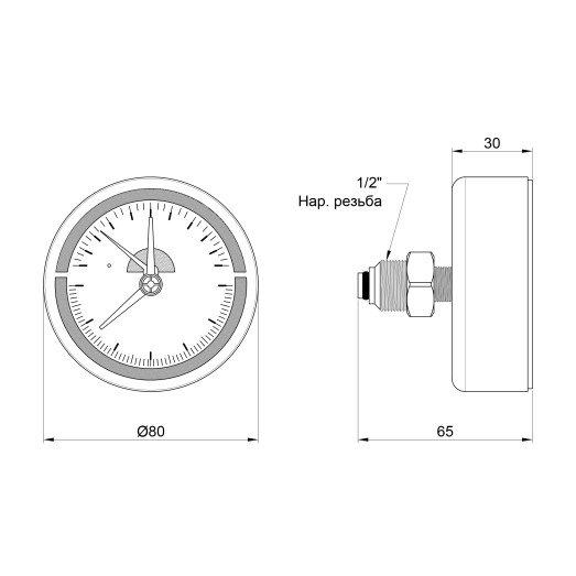 Термоманометр Thermo Alliance Standart 80 мм 1/2" заднє підключення (SD17310B)