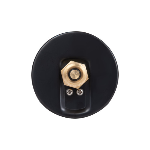 Термоманометр Thermo Alliance Standart 80 мм 1/2" заднє підключення (SD17310B)