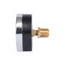 Термоманометр Thermo Alliance Standart 80 мм 1/2" заднє підключення (SD17310B)