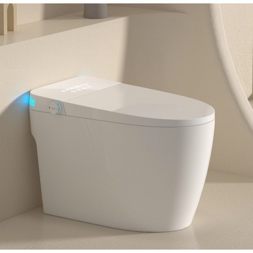 Унитаз-биде напольный с электронным управлением Koer TB-0201 Smart со встроенным бачком (KR6071)