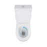 Унитаз-компакт Qtap Robin Ultra Quiet безободковый с сиденьем Soft-close (QT13226089AW)