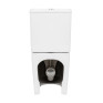 Унитаз-компакт Qtap Scorpio безободковый с сиденьем Soft-close (QT14226002W)