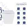 Унитаз подвесной Qtap Tern с сиденьем Soft-close (QT17332303ASW)