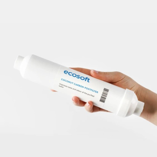 Вугільний постфільтр Ecosoft 2"х10" (CHV2010ECOPKG)