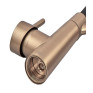 Змішувач для кухні MIXXUS PREMIUM ROSSI 017 BRUSHED GOLD REFL.BLACK (Колір матове золото) (MP6723)